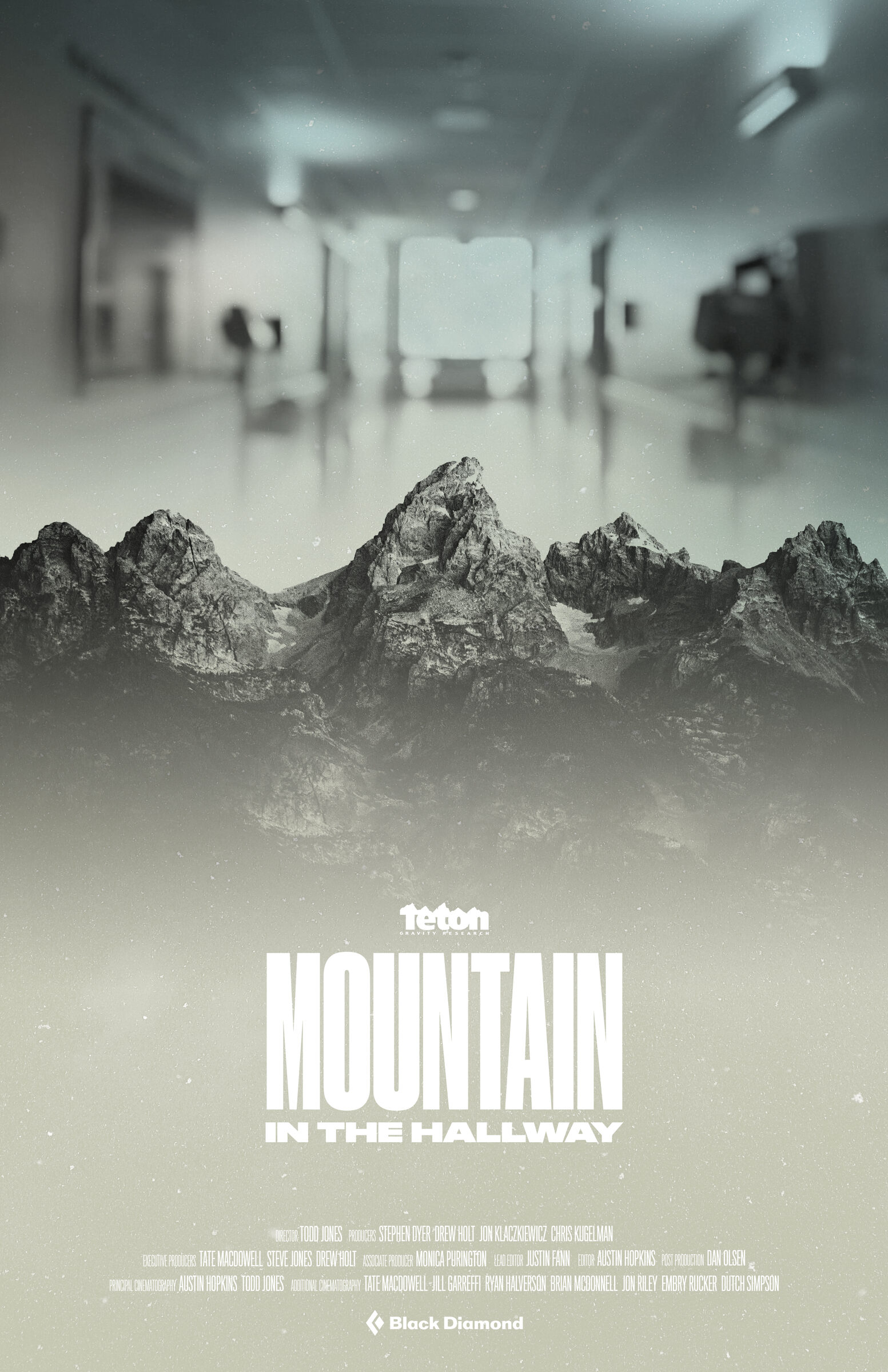 Mountain in The Hallway